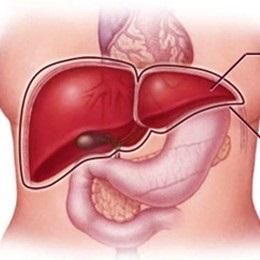 Hepatomegalia ou fígado aumentado: sintomas, causas 20