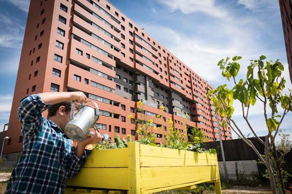 Jardins urbanos: características, tipos, benefícios 4