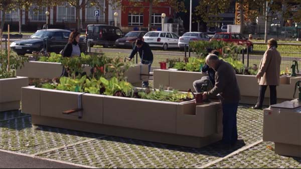 Jardins urbanos: características, tipos, benefícios 1