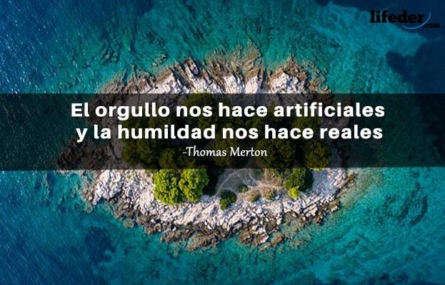 As 71 melhores frases de humildade e simplicidade (curta) 11