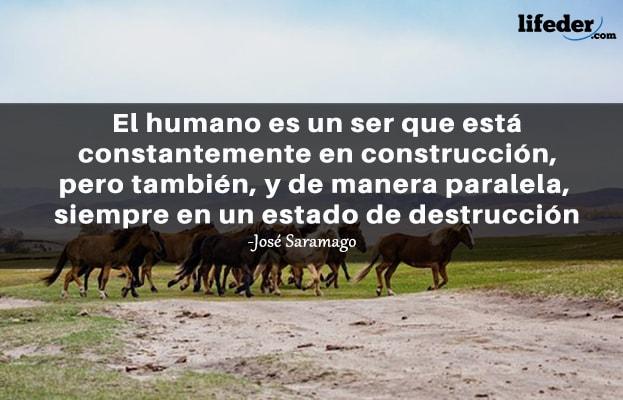 As 100 melhores frases de José Saramago 21