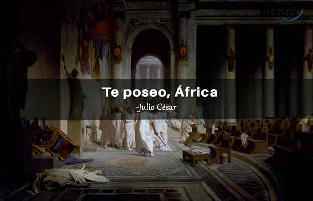 As 100 melhores frases de Julio César [com imagens] 6