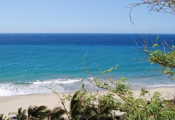 Mar tropical do Peru: características, ecossistemas e relevo 40