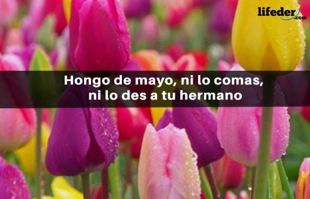 71 frases bonitas de maio 21