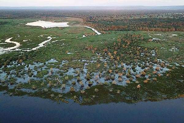 Pantanal: características, relevo, flora, clima, fauna, exemplos 71