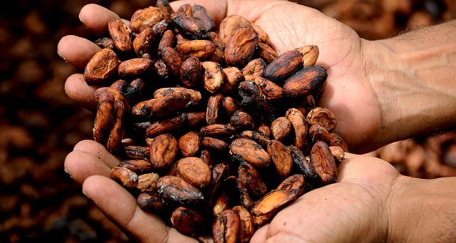 10 produtos da Amazônia equatoriana 1