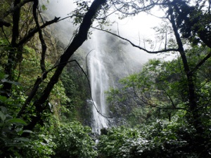 Em que região de Veracruz está localizada a Sierra de Ontontepec? 2