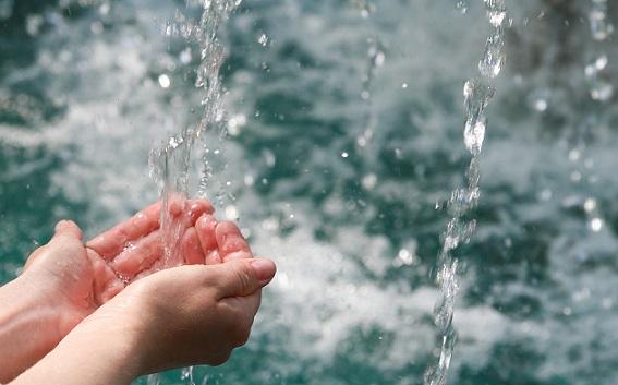 A importância da água para a vida dos seres vivos 2