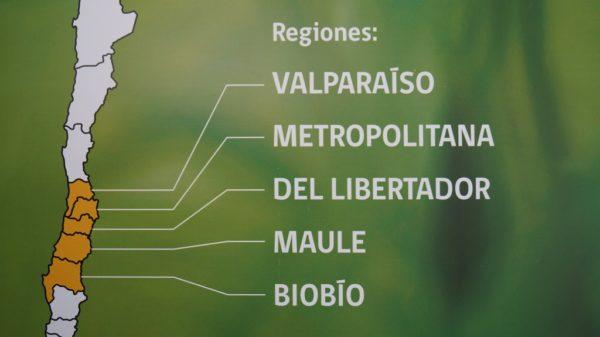 Zona Central do Chile: Clima, Flora, Fauna e Economia 1
