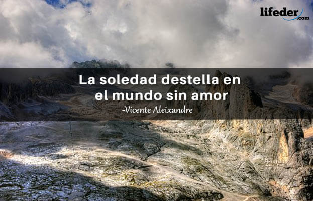 As 100 melhores frases de solidão 14