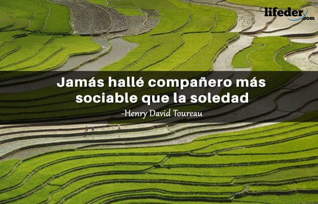 As 100 melhores frases de solidão 20