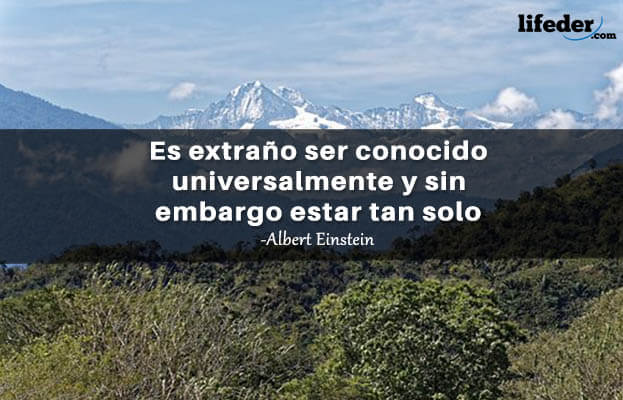 As 100 melhores frases de solidão 5
