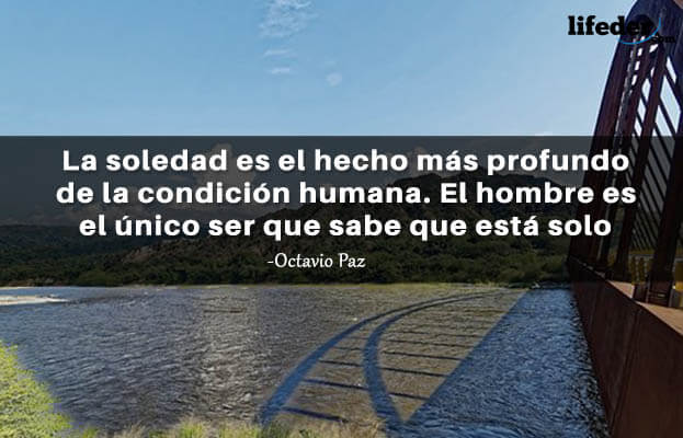 As 100 melhores frases de solidão 6