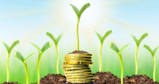 O que é desenvolvimento sustentável? 3