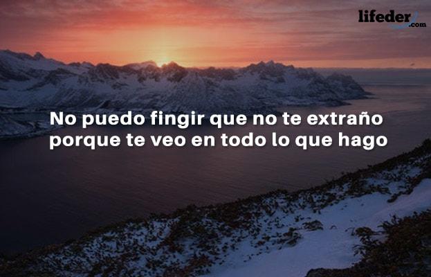 111 frases bonitas de eu sinto sua falta 16