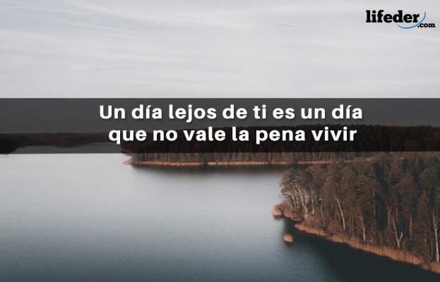 111 frases bonitas de eu sinto sua falta 19