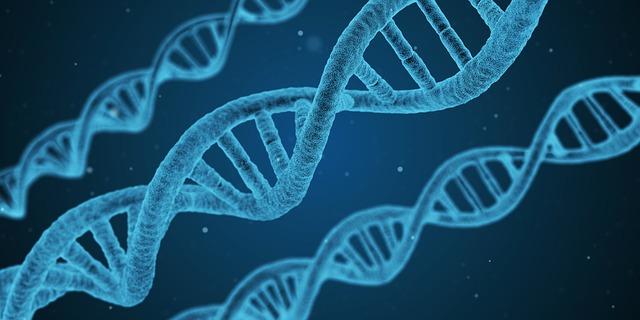 Tipos de principais mutações genéticas ou cromossômicas 1