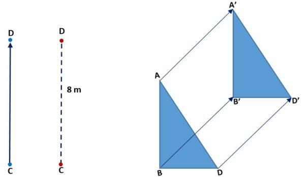 Isometric Transforms Isometric transformations: composition, types and examples ...