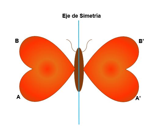 Isometric Transforms Isometric transformations: composition, types and examples ...