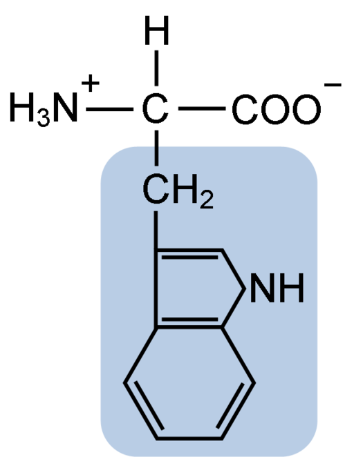 Melatonina: estrutura, função e usos químicos 3