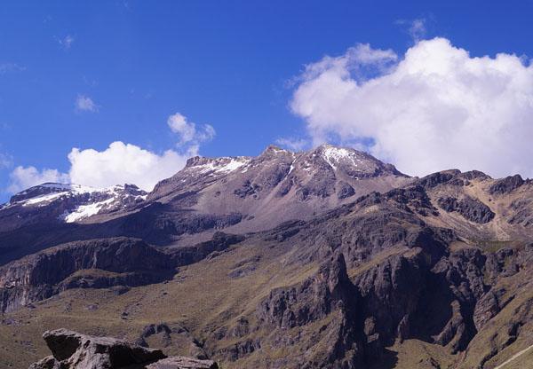 Tundra no México: características, localização, flora e fauna 8