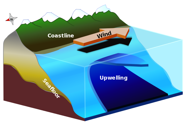Mar frio da corrente peruana: características, causas 2
