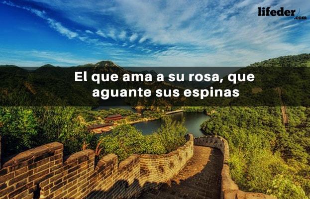81 frases de amor, encorajamento e mulheres do cowboy 3
