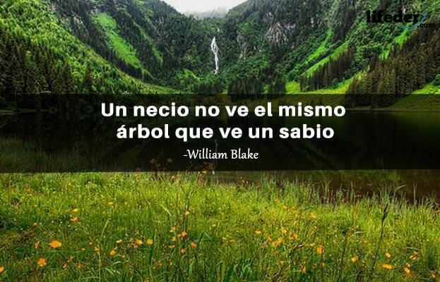 As 100 melhores frases de William Blake 17