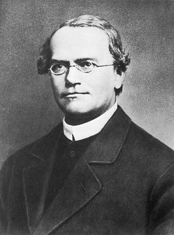 Gregor Mendel: Biografia e Contribuições 1