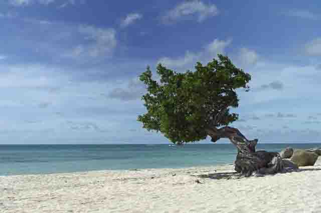 As 19 melhores praias do Caribe (com imagens) 13