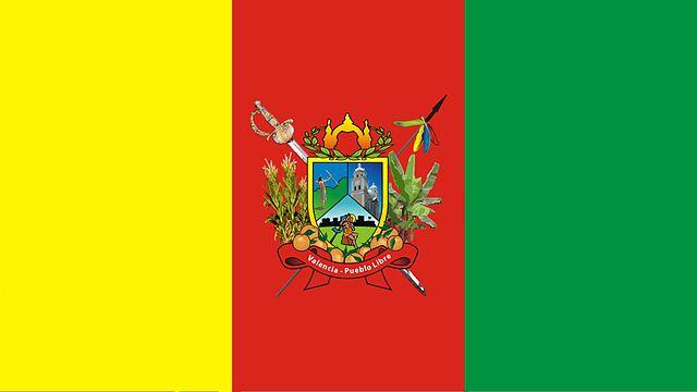 Bandeira de Valência (Venezuela): História e Significado 1