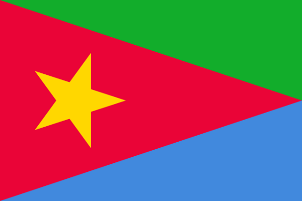 Bandeira da Eritreia: História e Significado 11