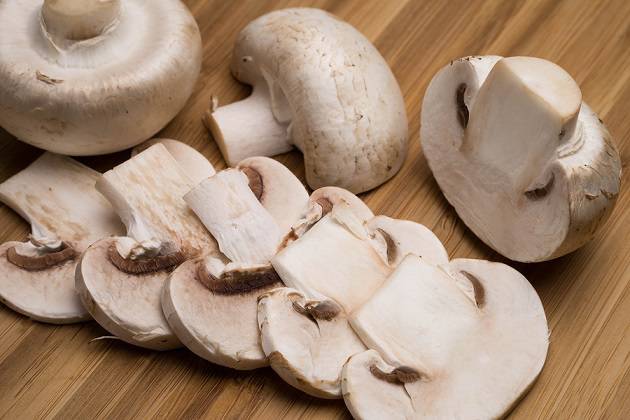 10 grandes benefícios dos cogumelos para a saúde 1