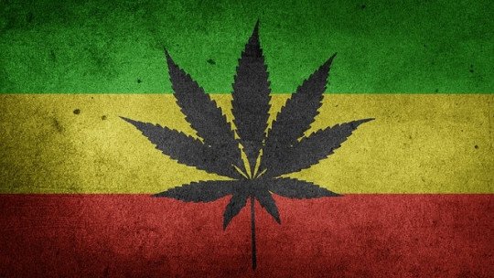 Cannabis aumenta o risco de surto psicótico em 40% 1