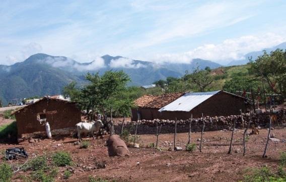 As 10 características mais importantes do ambiente rural 23