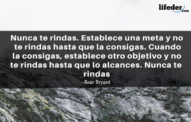 As 100 melhores frases de treinamento [com imagens] 17