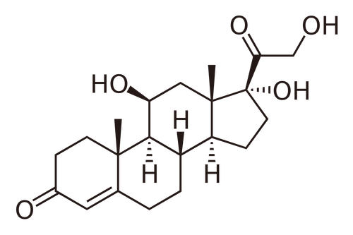 Cortisol: funções, síntese e mecanismo de ação 1
