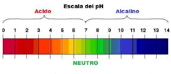 Como o desequilíbrio do pH afeta o ser humano? 1