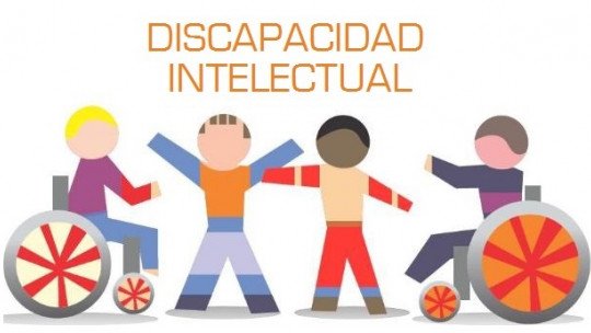 Deficiência intelectual e de desenvolvimento 1