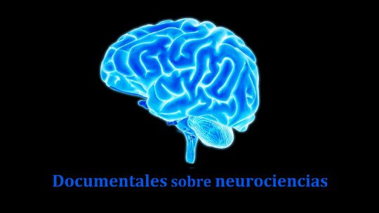 12 documentários sobre neurociências e neuropsicologia 1