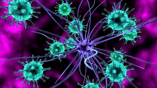 Encefalite: causas, sintomas, tratamento e prognóstico 1