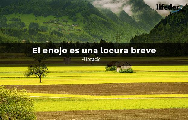 As 100 melhores frases irritadas 13