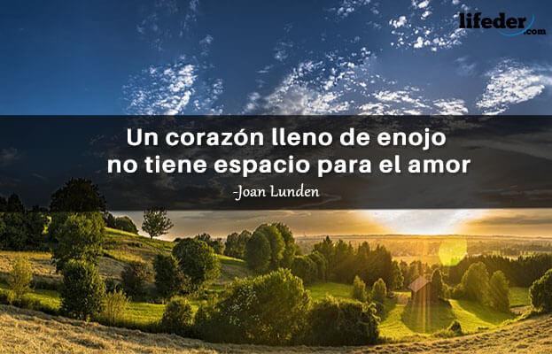 As 100 melhores frases irritadas 14