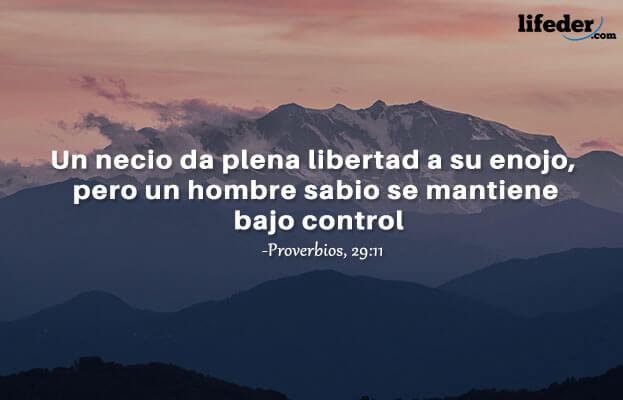 As 100 melhores frases irritadas 17