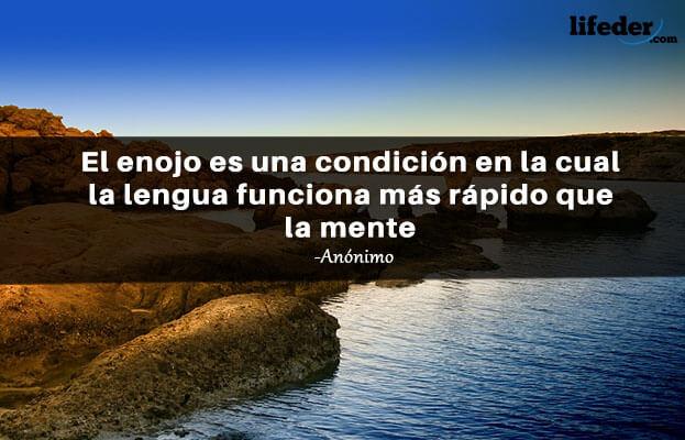 As 100 melhores frases irritadas 18