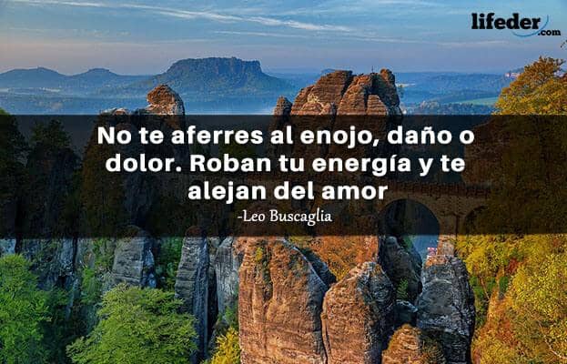 As 100 melhores frases irritadas 7