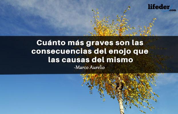 As 100 melhores frases irritadas 9