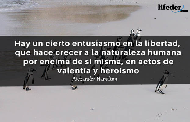 As 50 melhores frases de entusiasmo [com imagens] 13