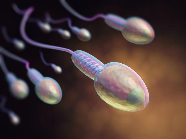 O que é espermatobioscopia? 1