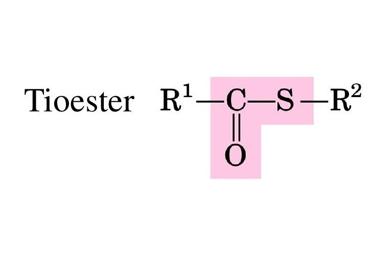 Ester Link: Características e Tipos 9